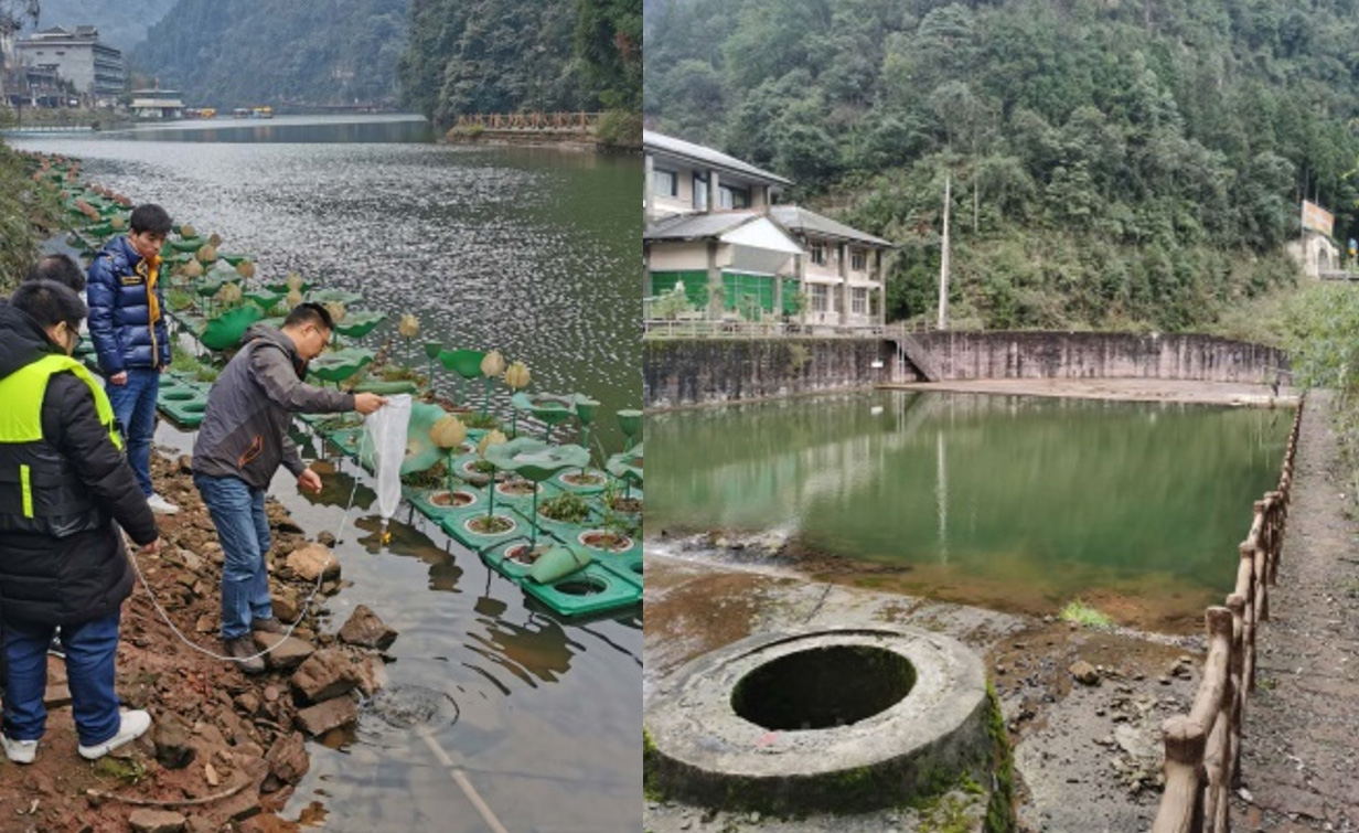 1638322576978012.jpg 201.jpg