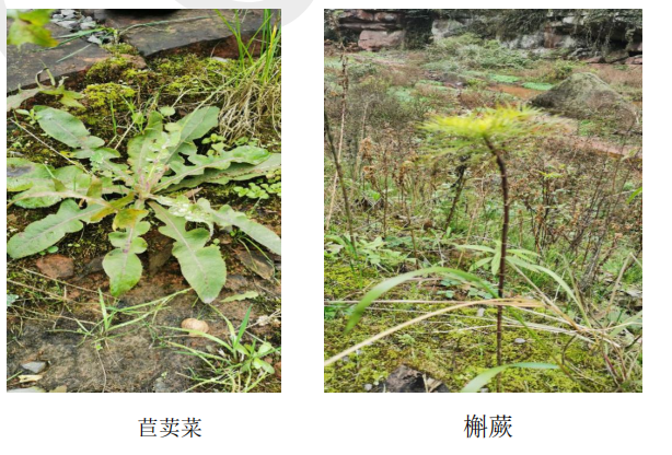 1638322654173553.png 204.png