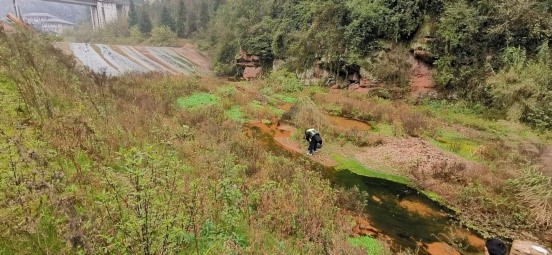 1638322624260665.jpg 203.jpg