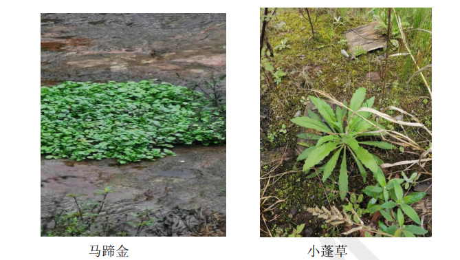 1638322661757632.png 205.png