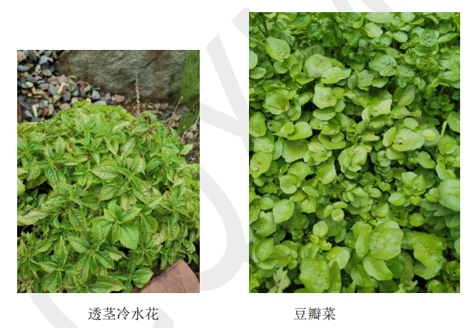 1638322667929713.png 206.png